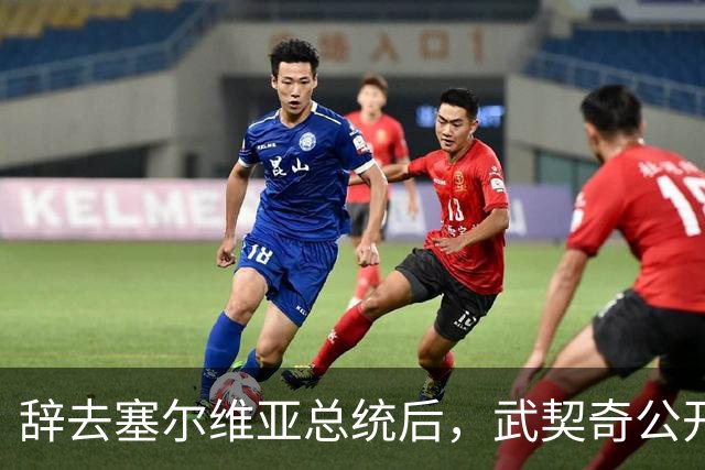 辞去塞尔维亚总统后，武契奇公开作出承诺：不会对俄罗斯实施制裁