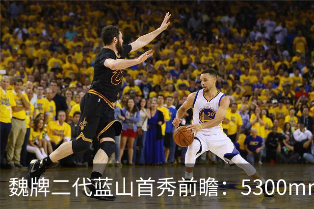 魏牌二代蓝山首秀前瞻：5300mm的方盒子、装了一套2.0T四挡混动